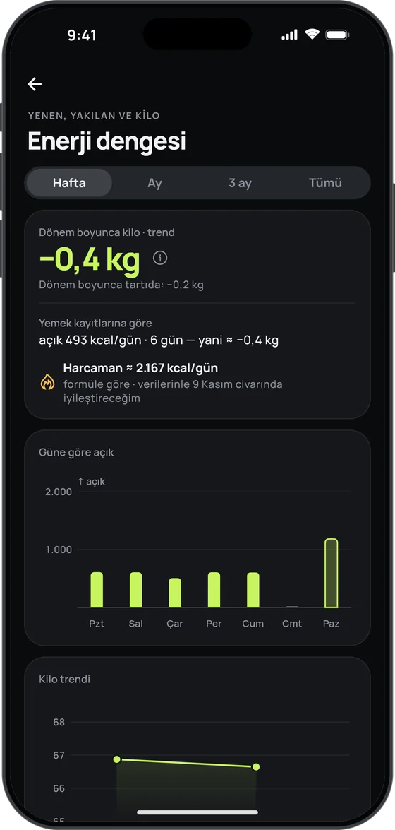 17 Fit’te Enerji dengesi ekranı: yemek kayıtlarına göre günde 493 kcal açık ve “Harcaman ≈ 2.167 kcal/gün”